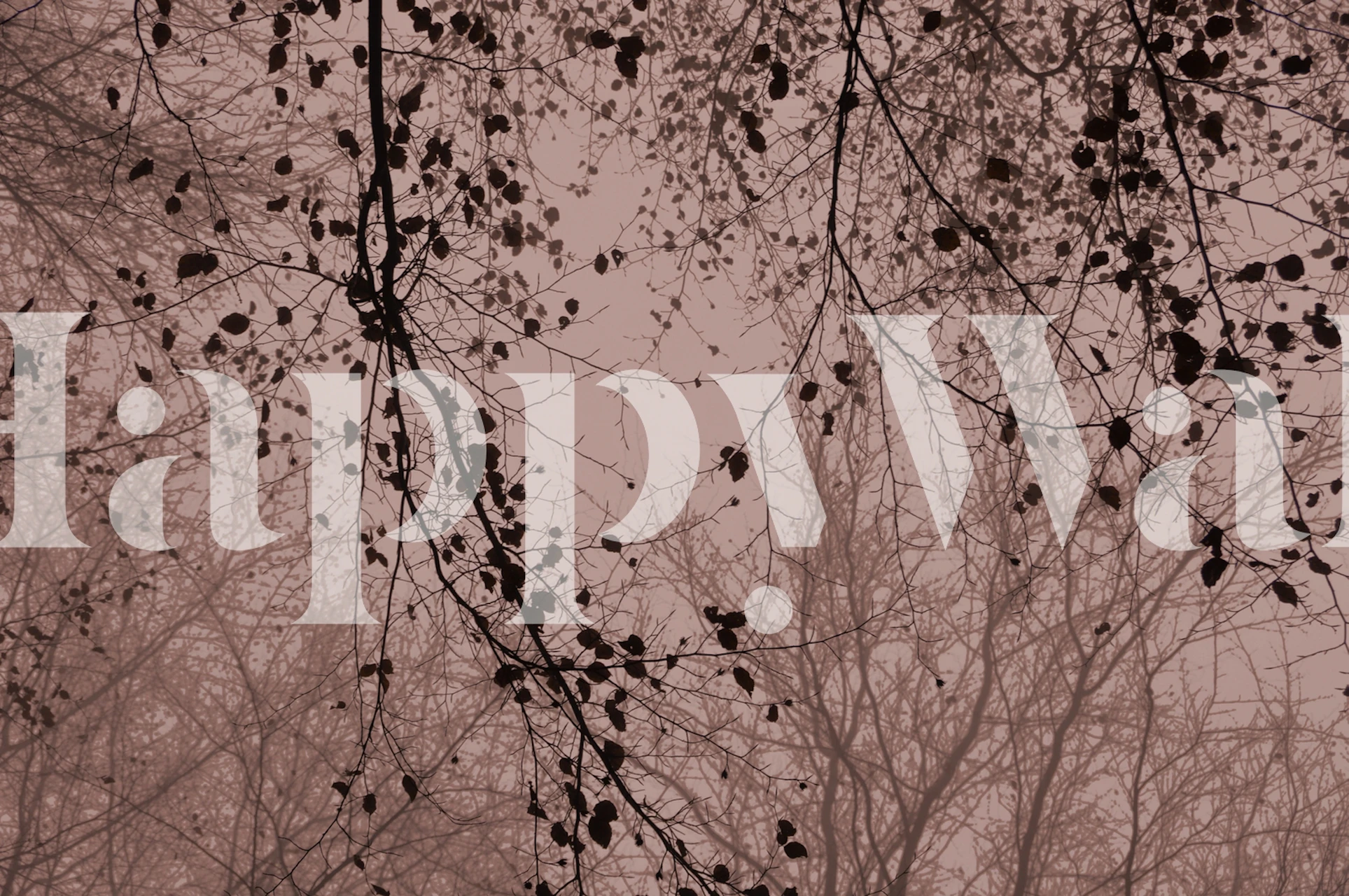 Silhouettes of leaves and branches on dusty pink background wallpaper