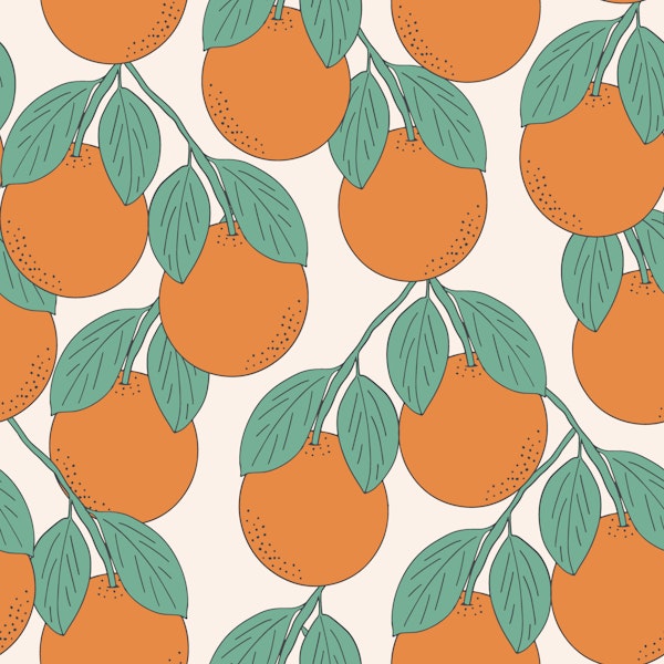 Bold hand drawn oranges on pastel apricot