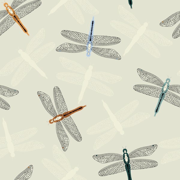 black handdrawn dragonfly on soft beige