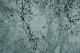 leaves and branches silhouettes dusty blue