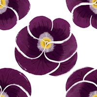 Hearts Ease Pansy Floral Pattern on white wallpaper