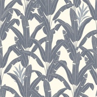 Cloud Bananeiras papiers peint