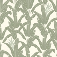 Sage Bananeiras tapet