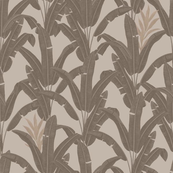 Mocca Vanilla Bananeiras