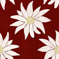 Edelweiss Floral Pattern on crimson bg wallpaper