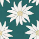 Edelweiss Floral Pattern on sage bg