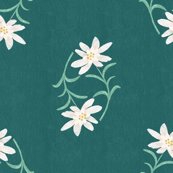 Edelweiss Botanical Pattern on sage bg