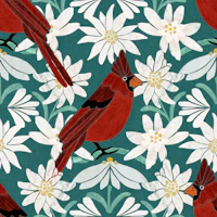 Edelweiss Flower & Cardinal Bird sage wallpaper