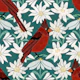 Edelweiss Flower & Cardinal Bird sage