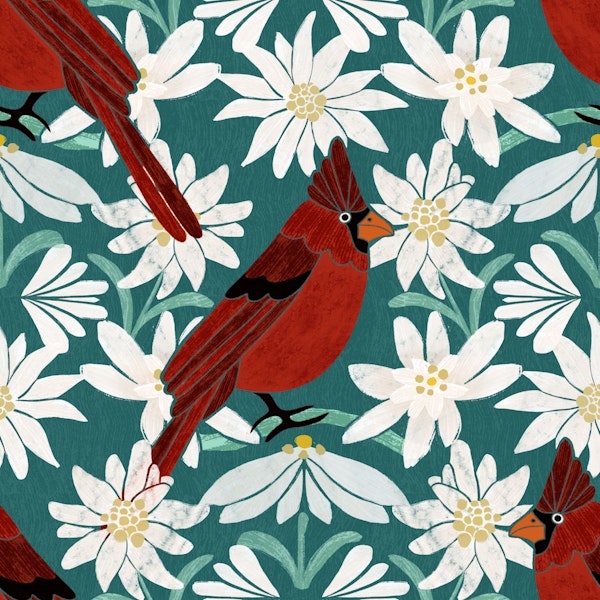 Edelweiss Flower & Cardinal Bird sage