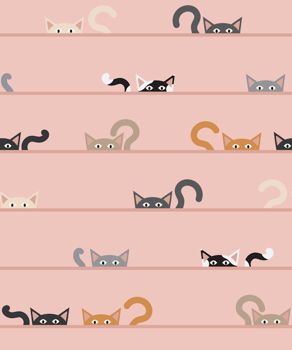 Peekaboo Cats on blush pink