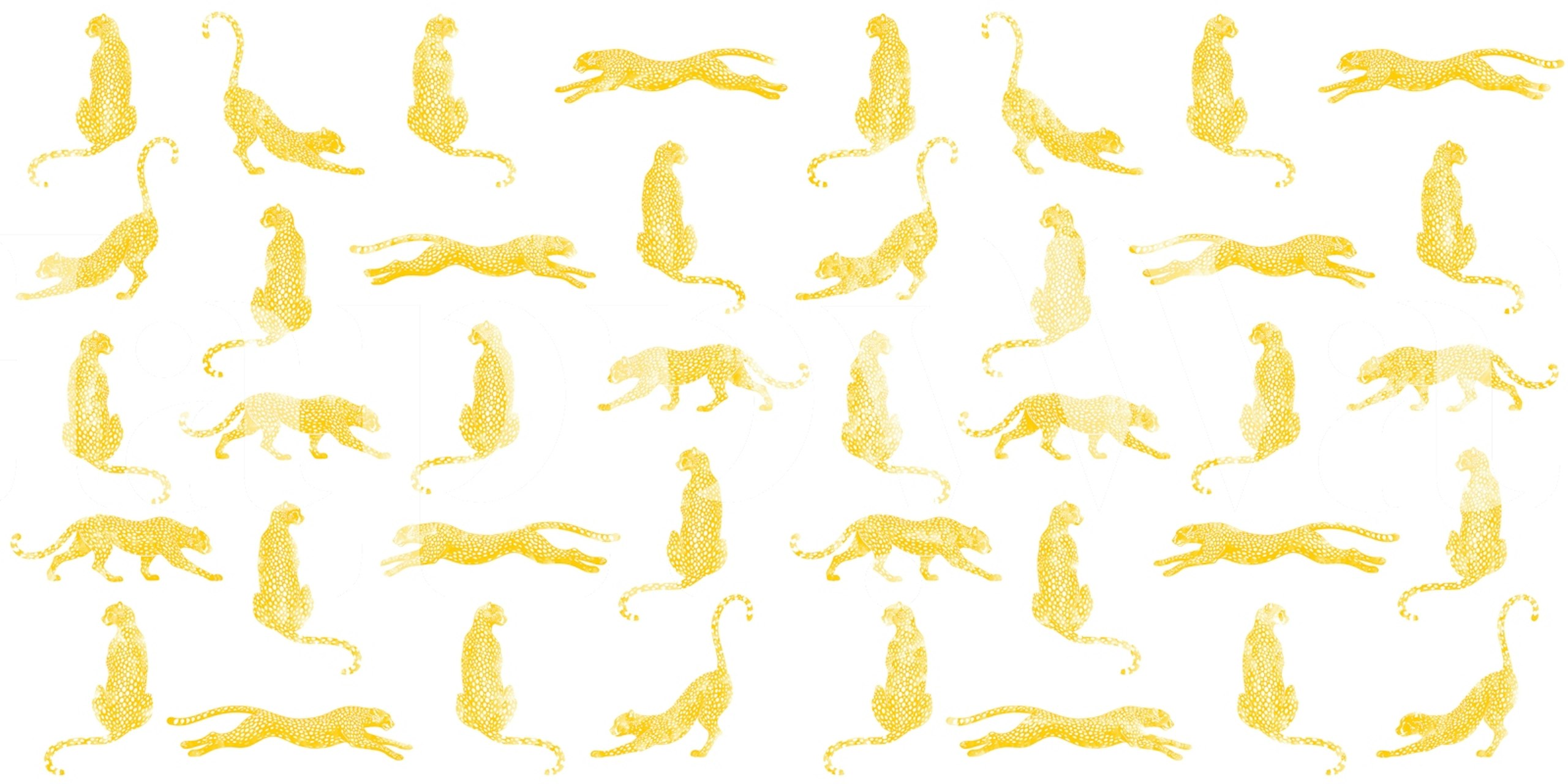 Cheetah Yellow wallpaper in a room