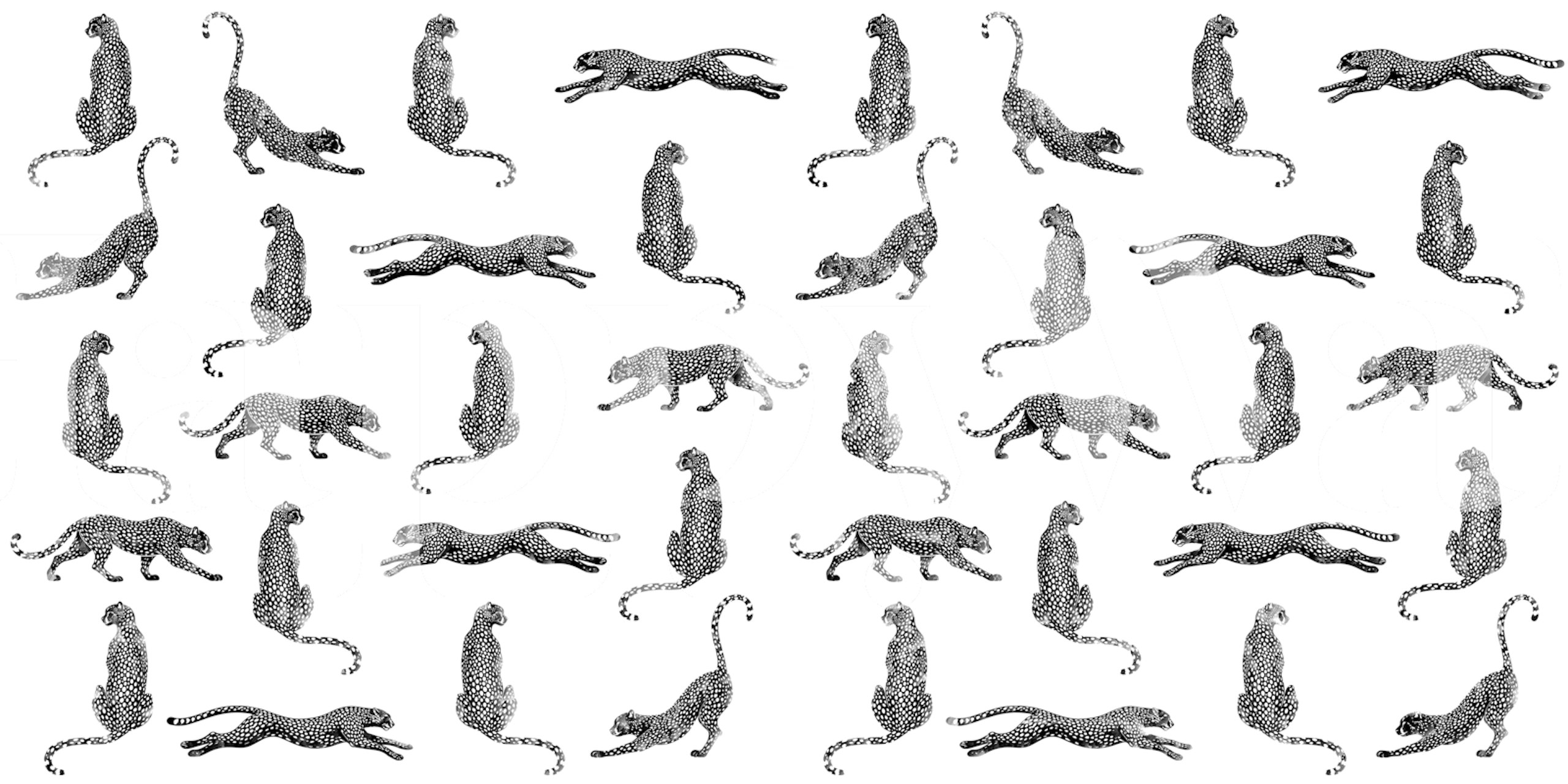 Design della carta da parati Cheetah White in una stanza