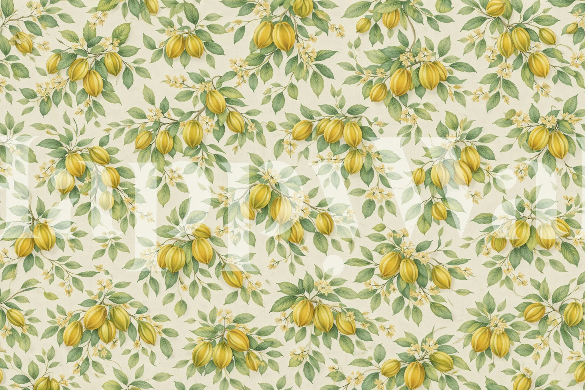 Carambola wallpaper design in a room