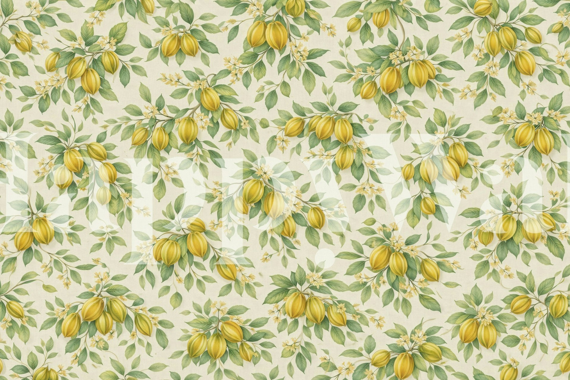 Carambola wallpaper design in a room