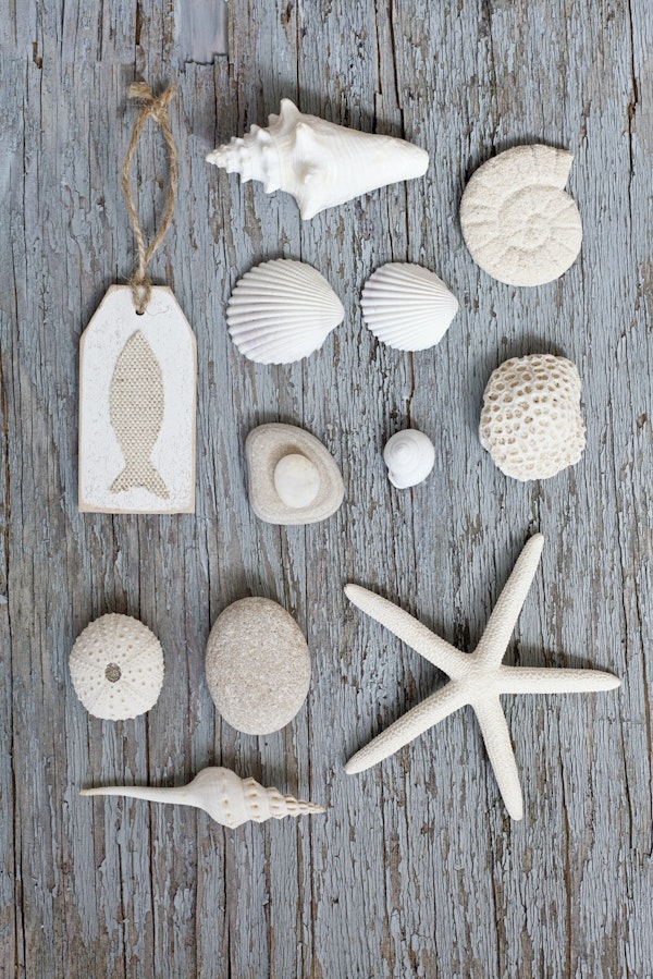 Beach Collection Collage
