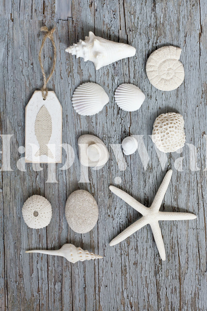 Assorted beach objects on wood - starfish, seashells, and stones wall mural