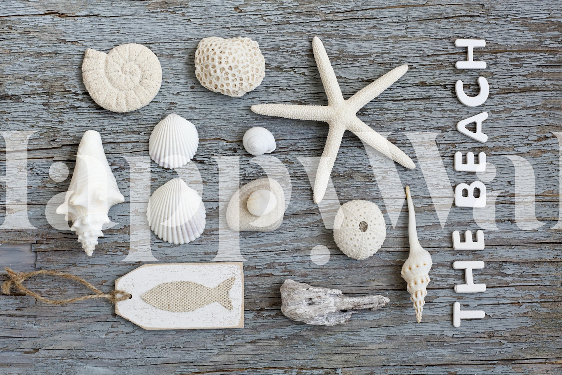 White beach shells and starfish collage wallpaper