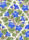 California Bluebells Wildflower Collage Small