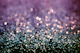Mermaid Glitter Bokeh Glam 1