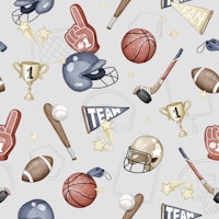 American Sports - small grey wallpaper