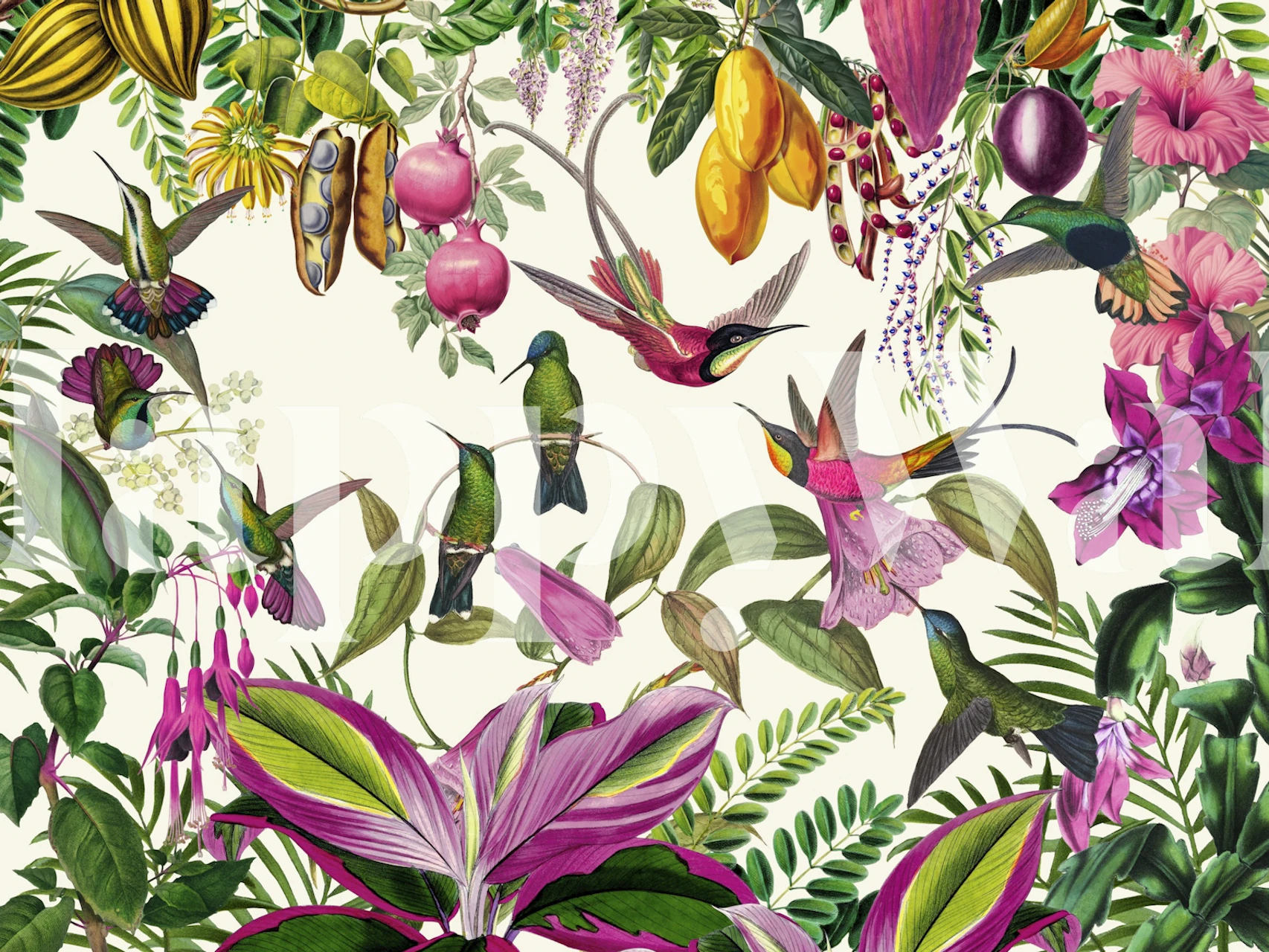 Hidden Exotic Hummingbird Paradise wallpaper in room