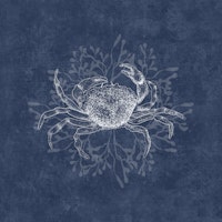 Crab & Algea - Navy Blue wallpaper