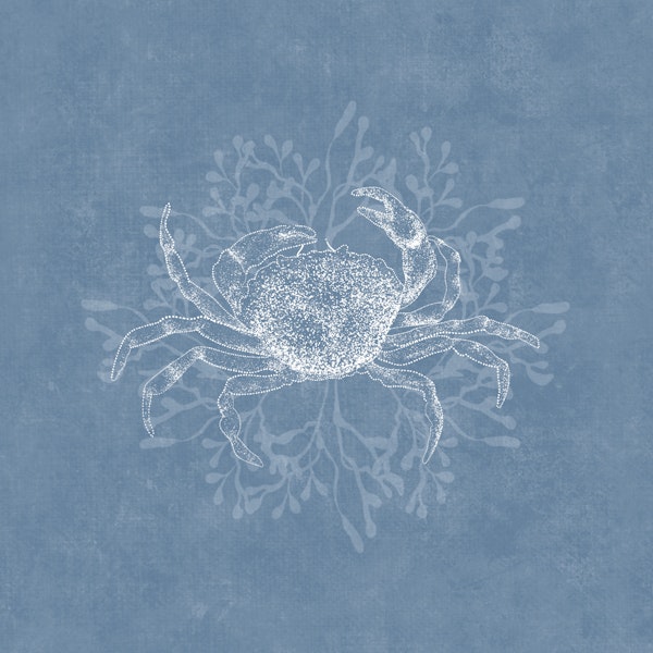 Crab & Algea - Misty Blue