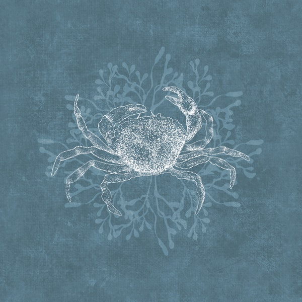 Crab & Algea - Aquamarine