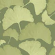 Soft Green Ginkgo Botanical Dream 1