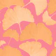 Peach Ginkgo Botanical Dream 1