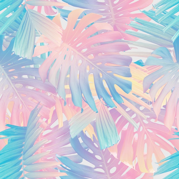 Cotton Candy Monstera Palm Jungle 1
