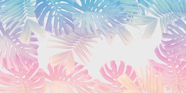 Cotton Candy Monstera Palm Jungle 2