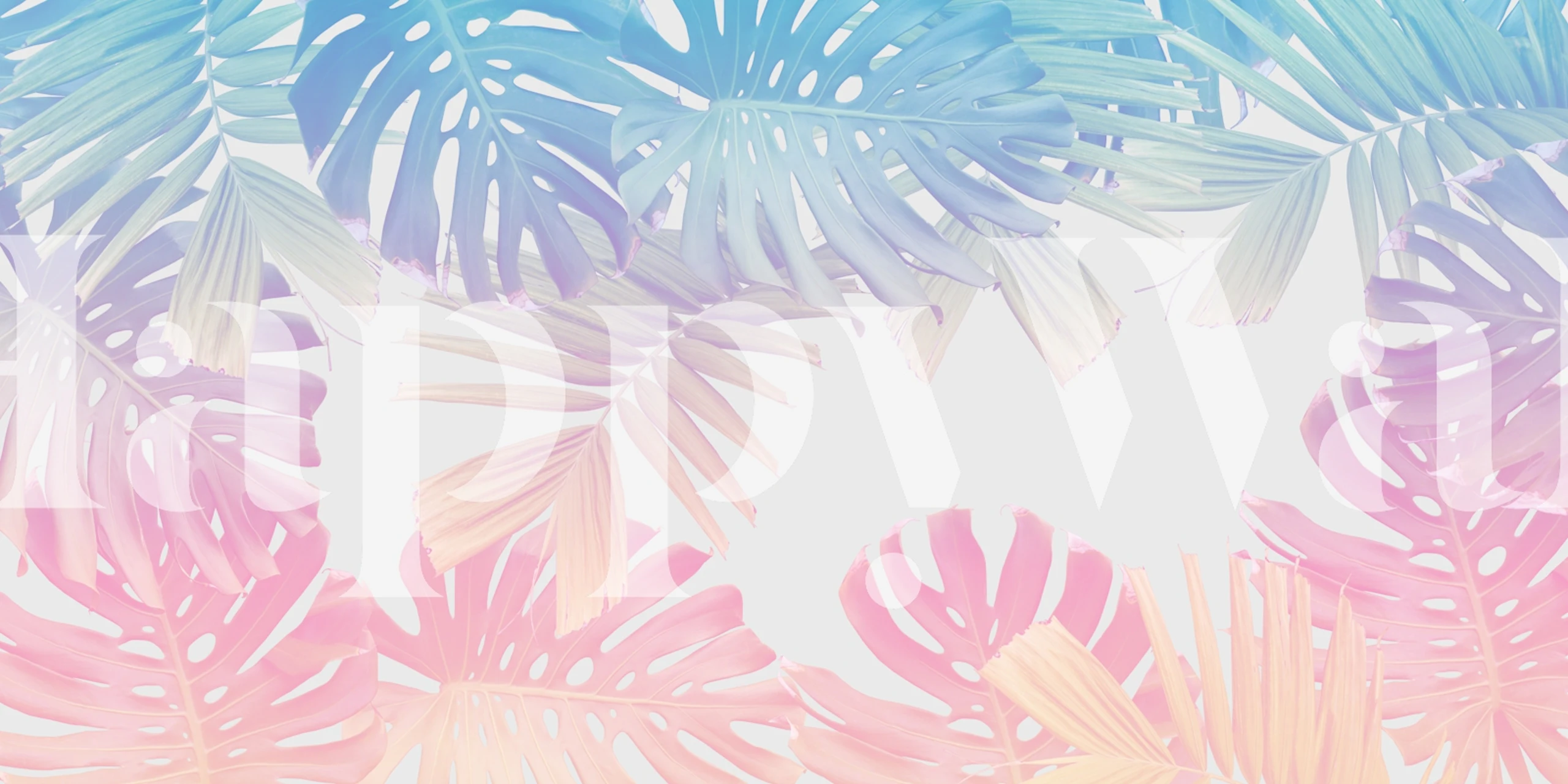 Cotton Candy Monstera Palm Jungle wallpaper in a room