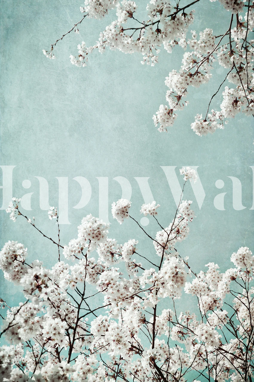 White floral branches against a soft blue background wallpaper