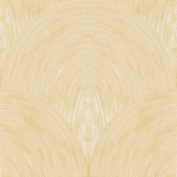 butter cream arch fan texture