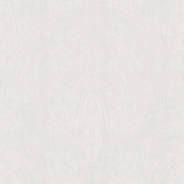 cloud white arch fan texture