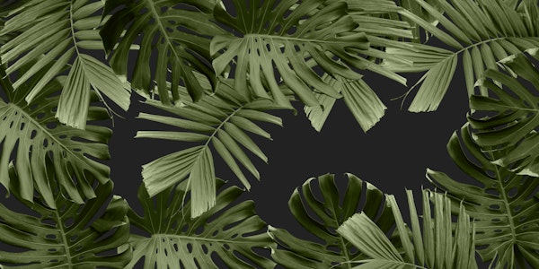 Dark Jungle Night Leaves 1