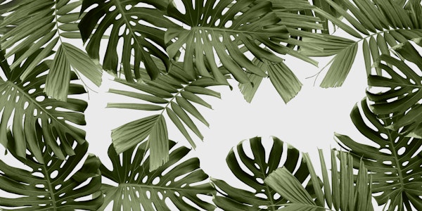 Dark Jungle Leaves 1