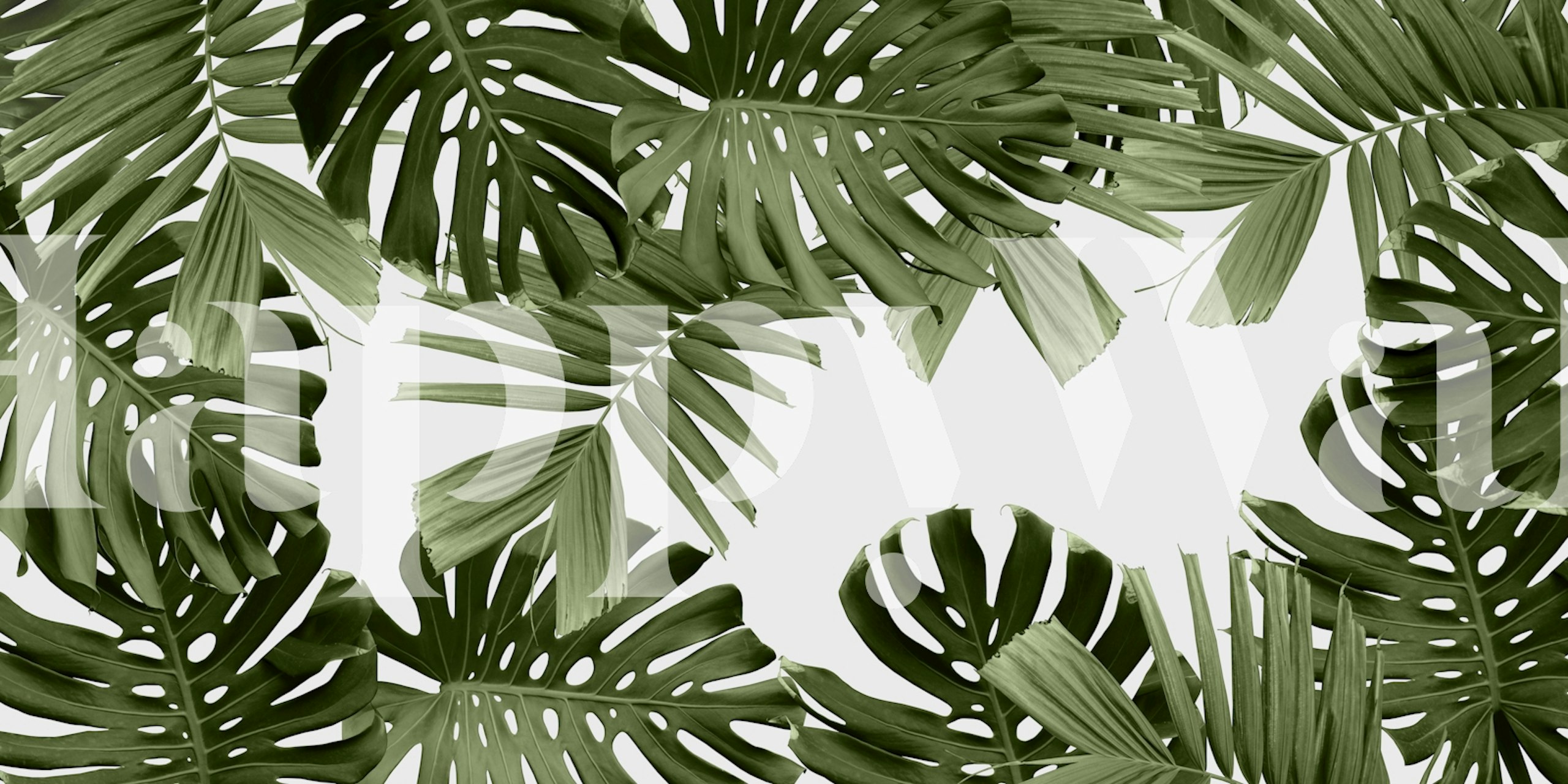 Dark Jungle Leaves behang in een kamer