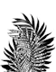 Palm Leaves with Tiger 3