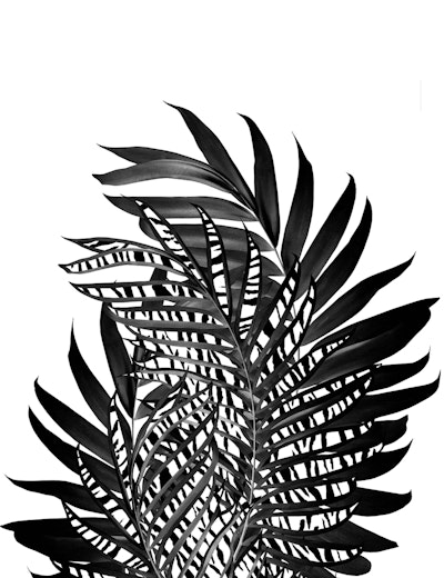 Mural