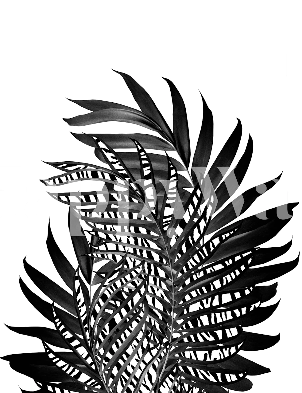 Palm leaves and tiger wallpaper in a room