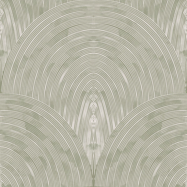 eucalyptus mist arch fan texture