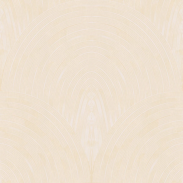 ivory cream arch fan texture