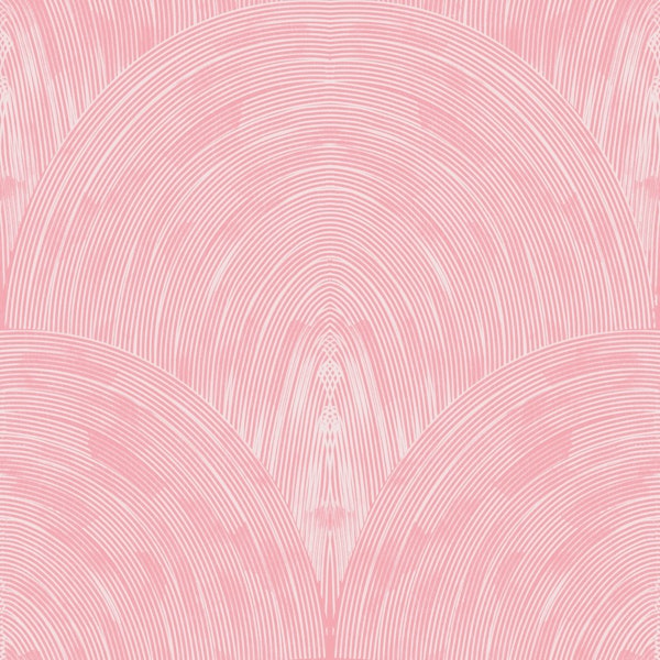 petal pink arch fan texture