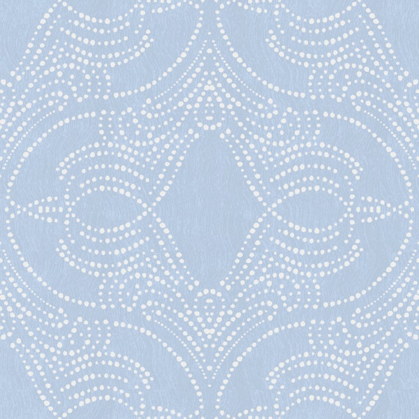 powder blue lace dot medallion texture