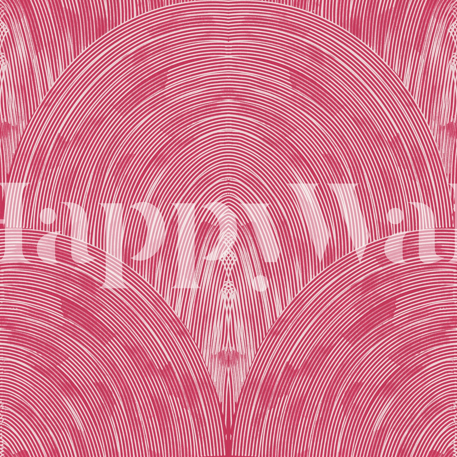 Raspberry Rose Arch Fan Texture Wallpaper