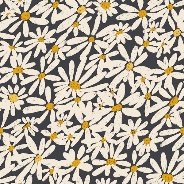 Hand Drawn Daisies Dark Background
