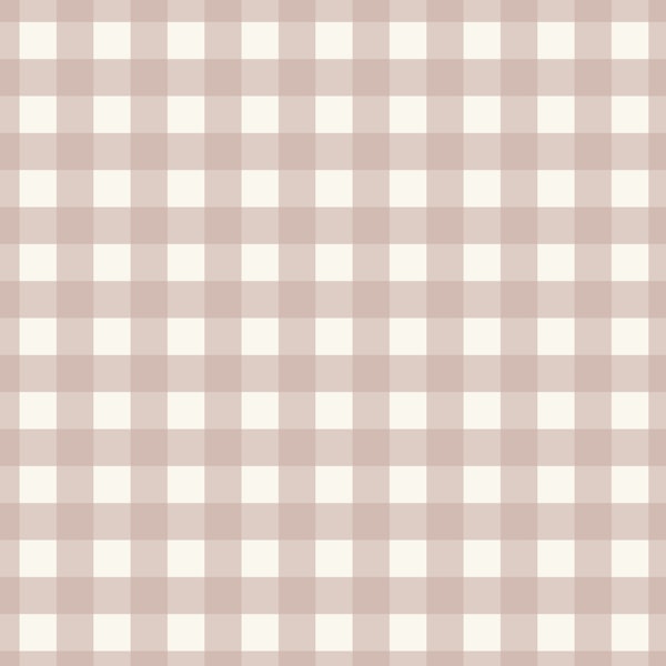 Gingham - Dusty Rose on cream -M
